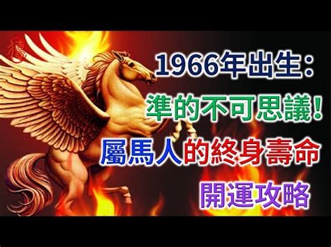 1966馬五行